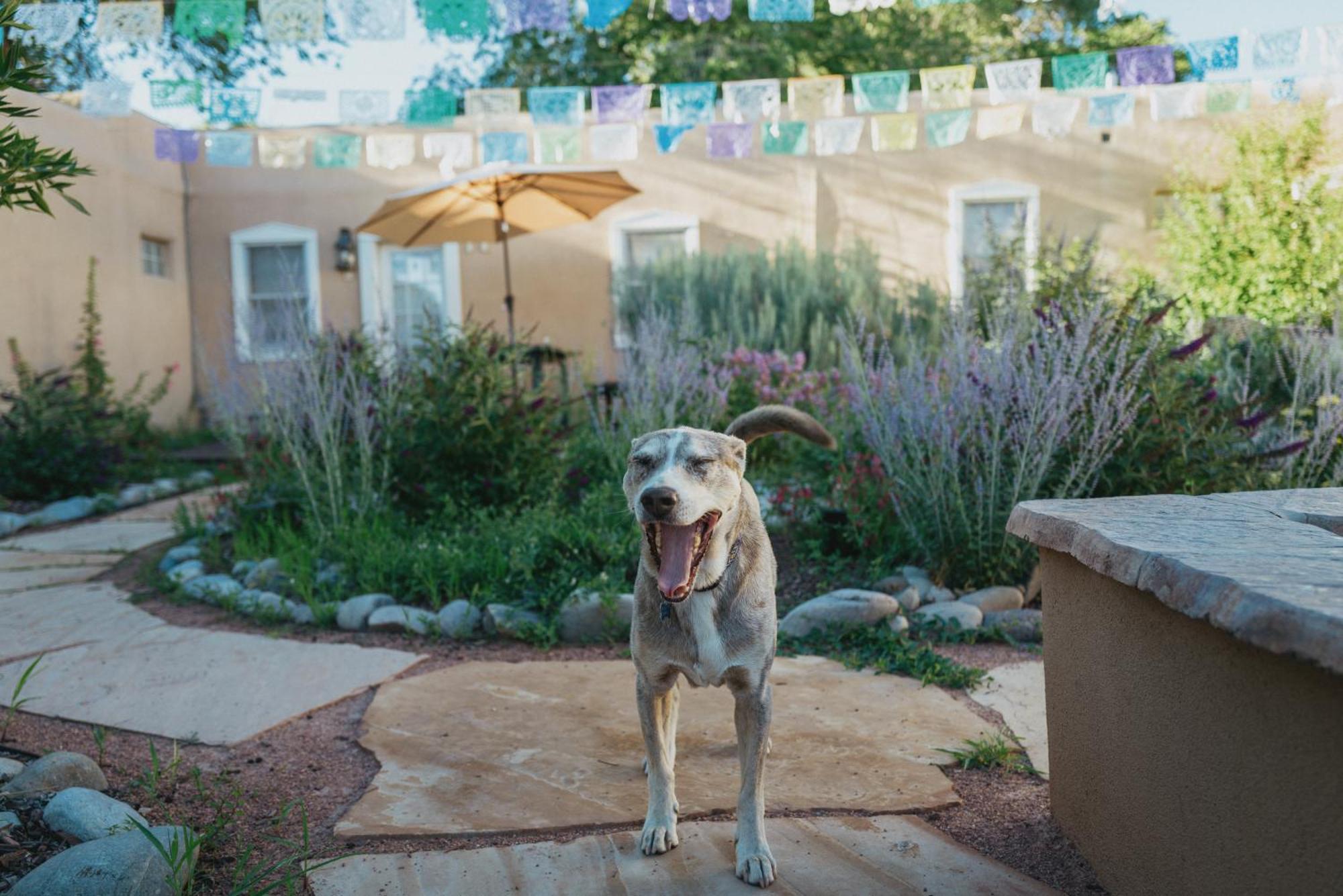 Dos Hermanas Casita 8 Downtown Courtyard Patio Santa Fe Zewnętrze zdjęcie